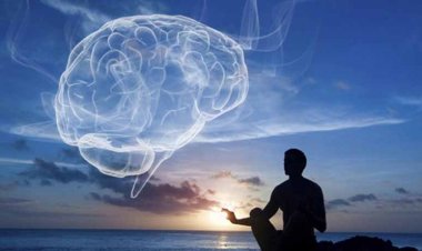 Meditasyonda Zihin Nasıl İşler?